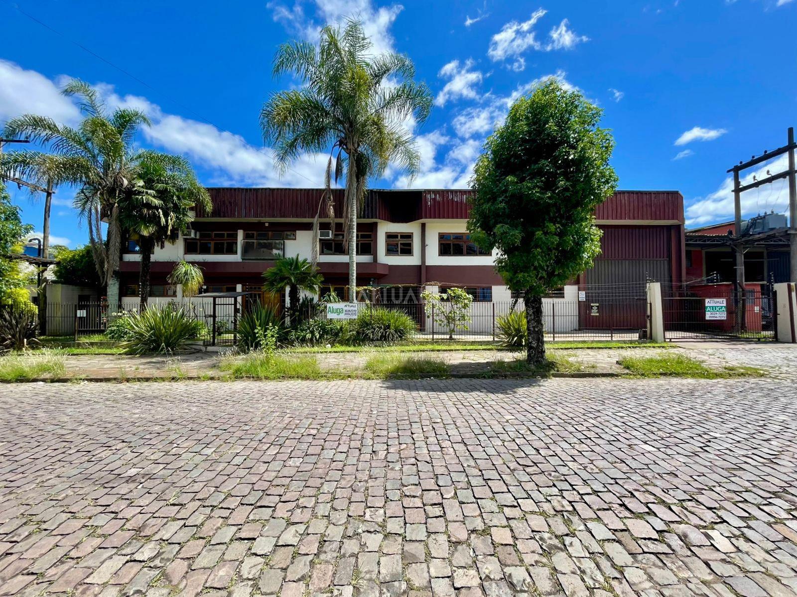 WhatsApp Image 2026-01-20 at 10.57.18