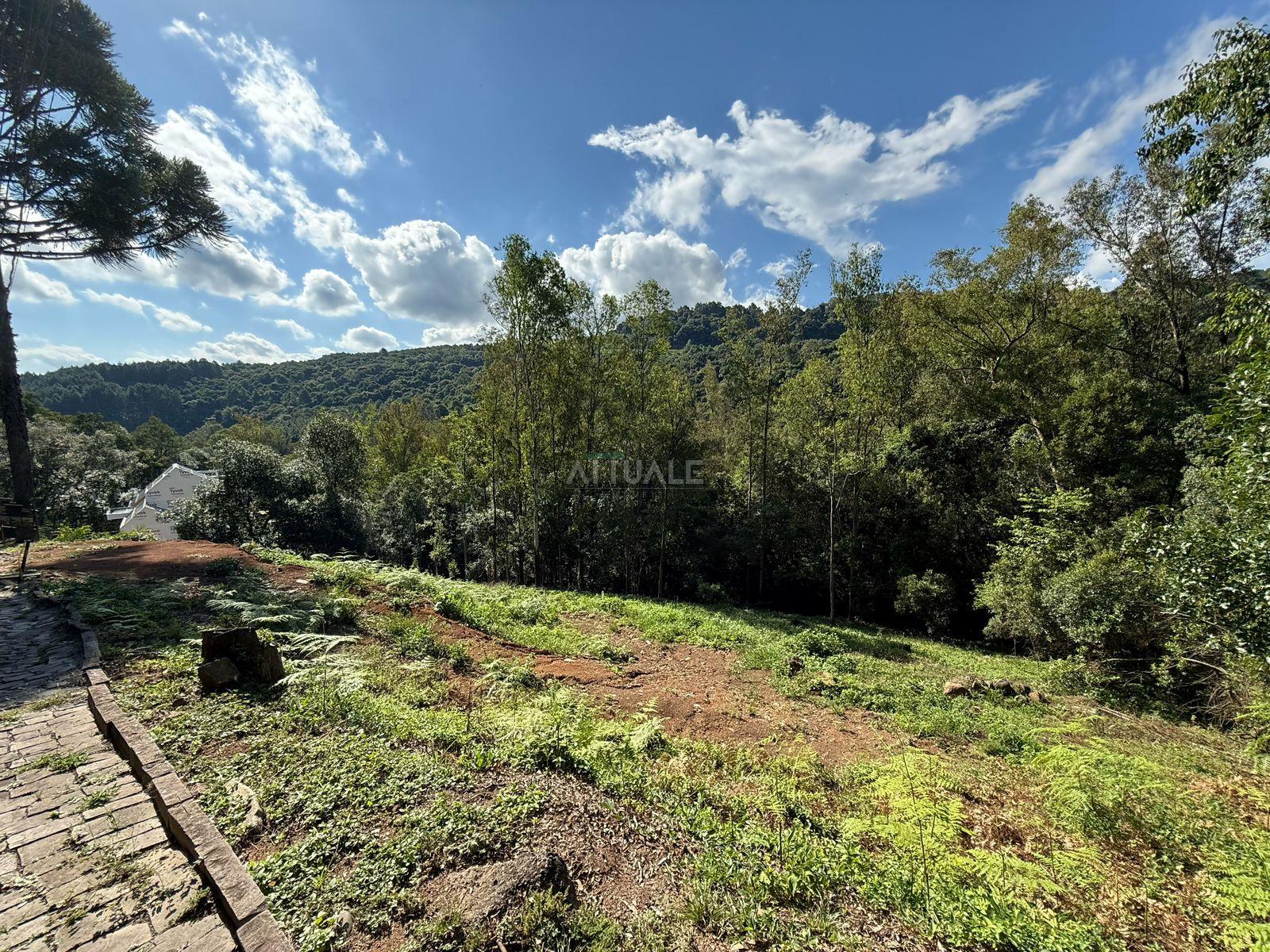 terreno  (1)