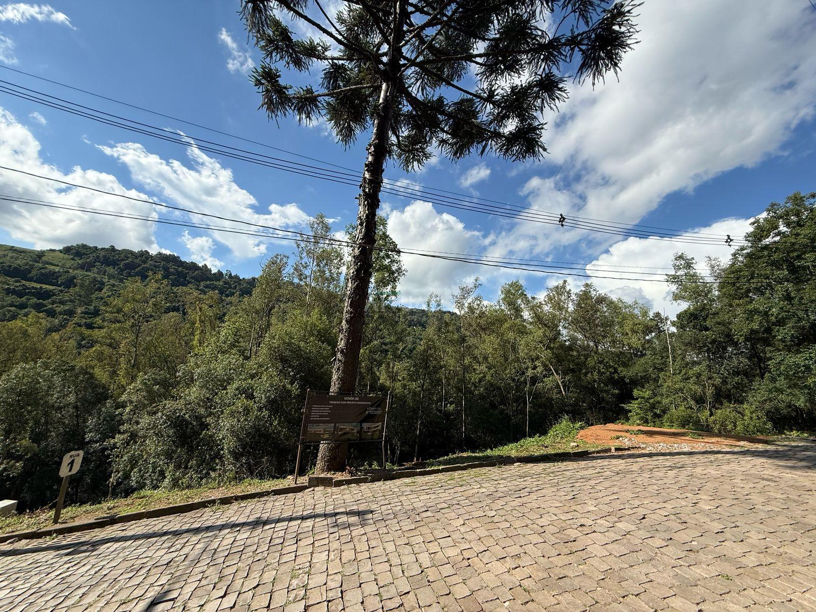 terreno  (2)