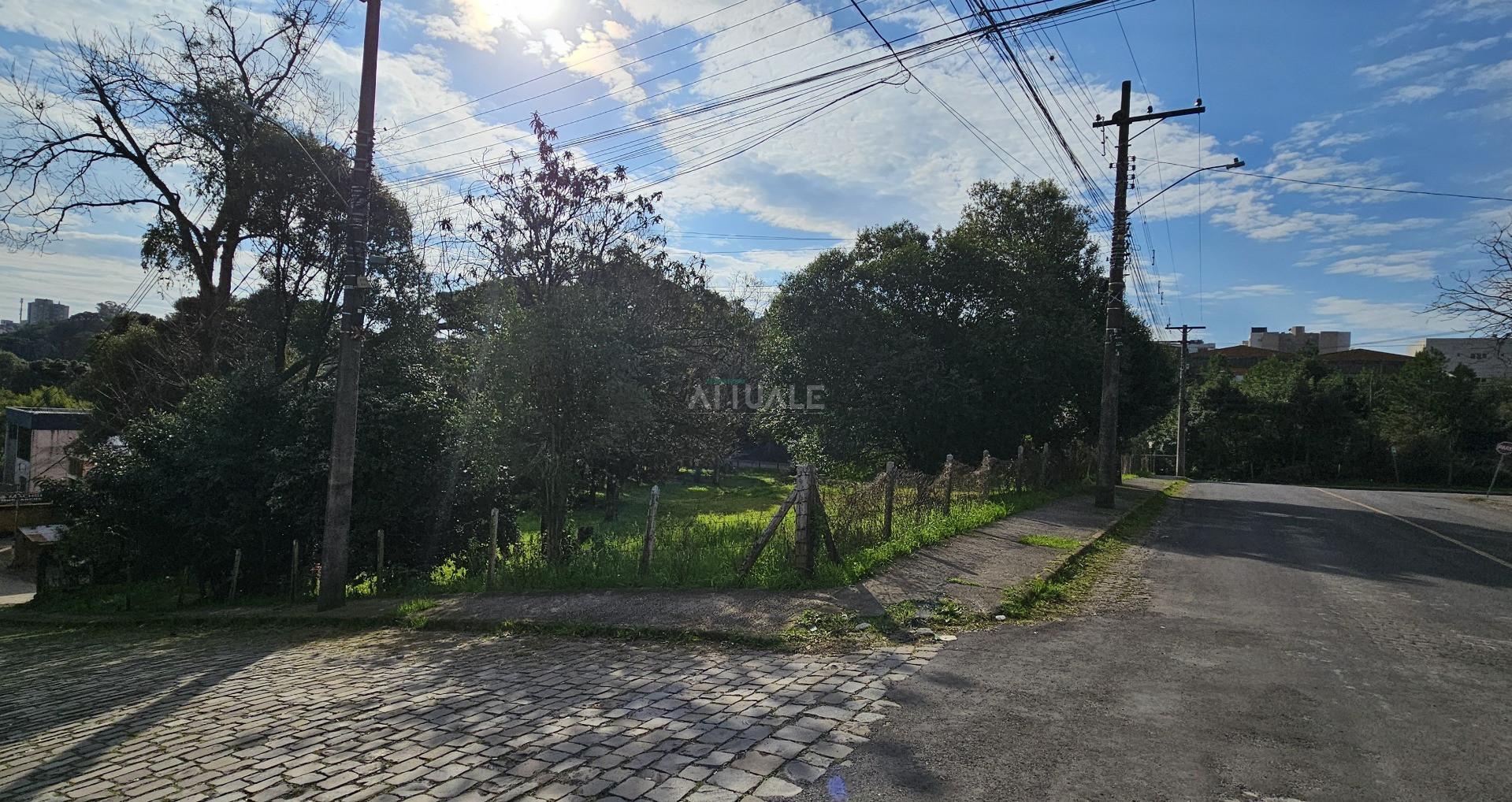 Foto2
