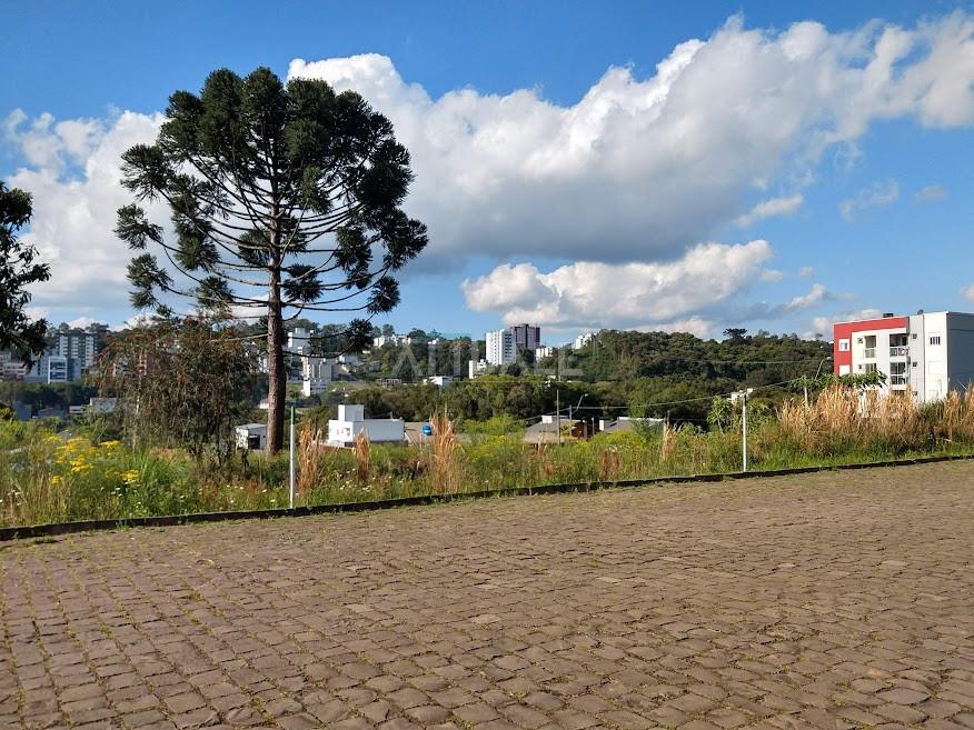 01 - Lote  19