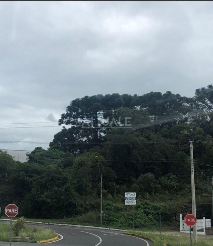 índice cópia