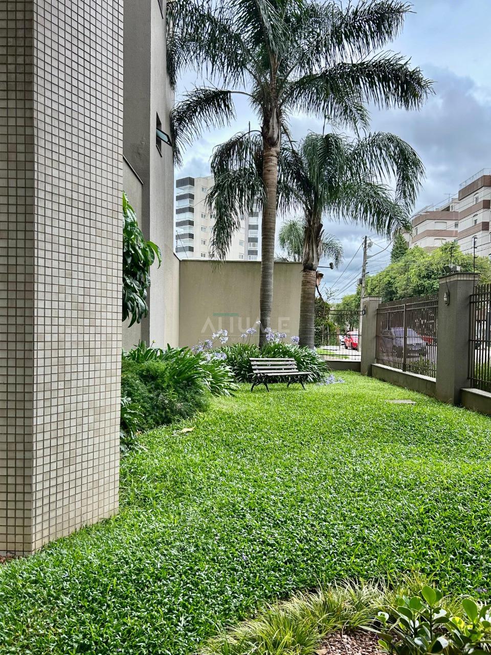 Entrada  3