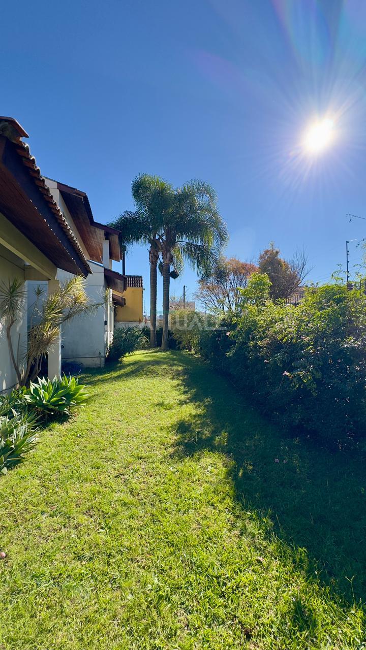 patio  (4)