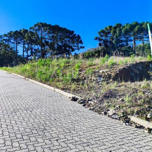 Terreno Reserva Rizzo 