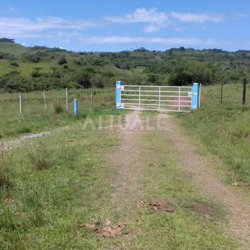Fazenda dos Ilhéus