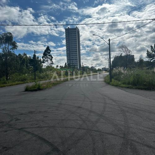 Terreno Siena 