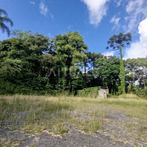 Terreno 