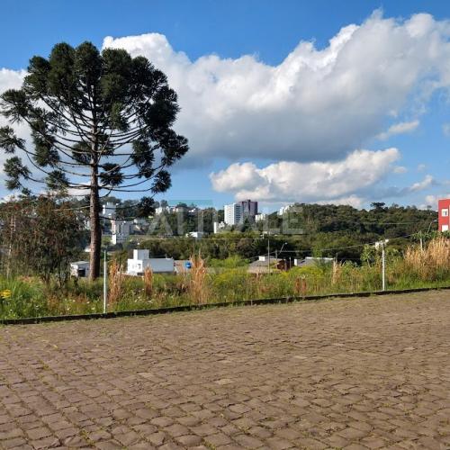 Terreno Jardim Vila Luiza 19