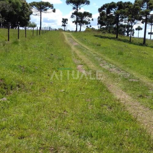 Fazenda dos Ilhéus