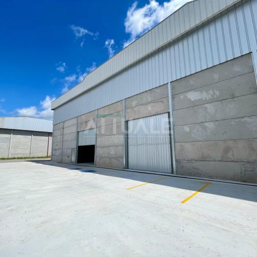 Pavilhão Logístico Ana Rech 