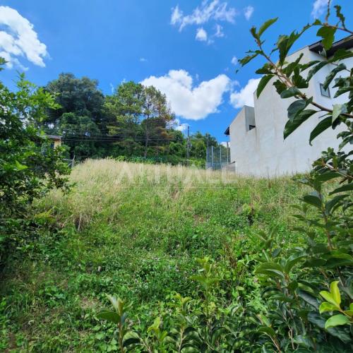 Terreno Colina Sorriso 