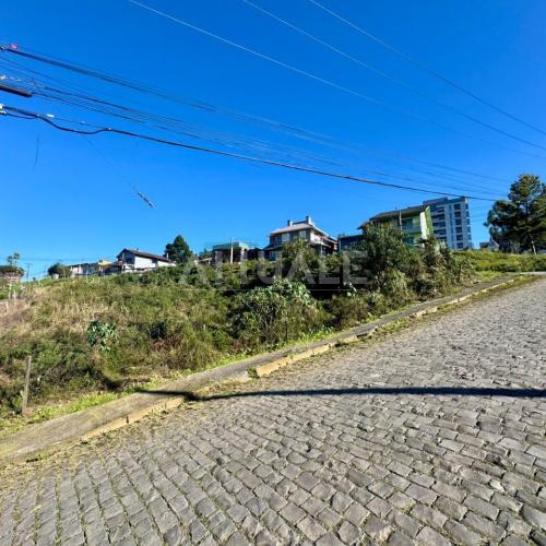 Terreno Sanvitto Guerra