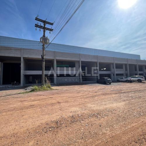 Pavilhão Industrial / Comercial 