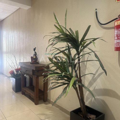 Cobertura Duplex Bella Conquista 