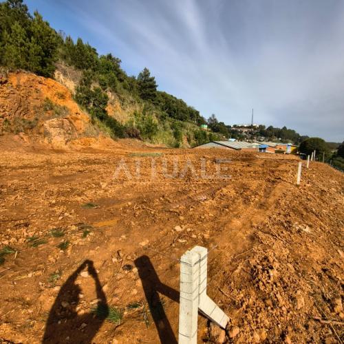 Terreno Adolfo Randazzo - Lote 02 e 03