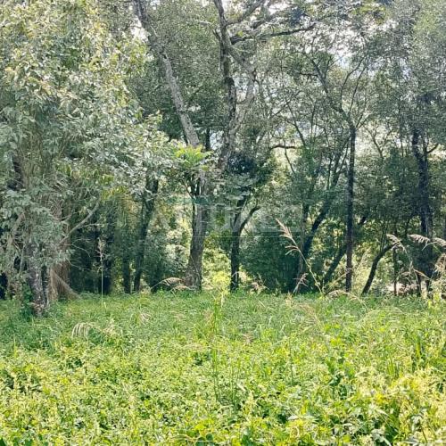 Condomínio Eco Dei Monti 