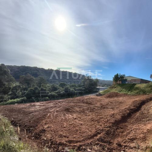 Terreno Adolfo Randazzo - Lote 01