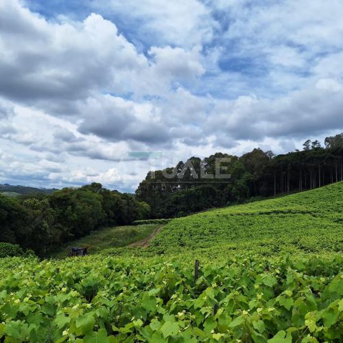 Terreno Rural Linha 80 