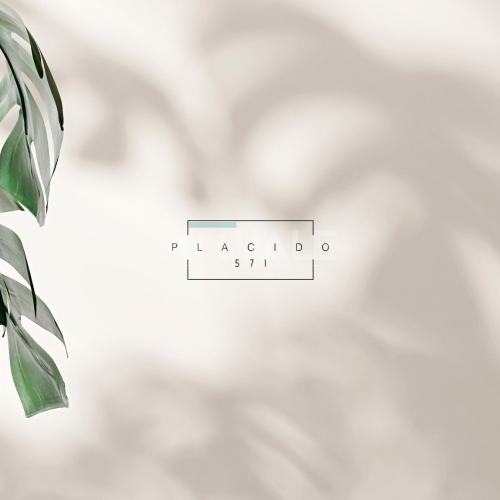Plácido 571